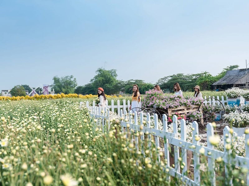 thảo nguyên hoa Long Biên