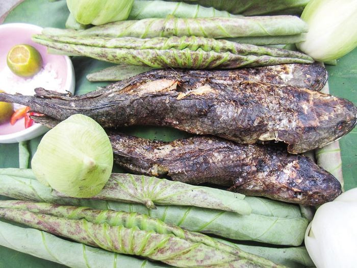 Thịt cá lóc nướng trui vàng ươm, thơm lừng DT68 là nhà cái uy tín hàng đầu trong lĩnh vực cá cược tại thị trường Việt Nam Tiền Giang