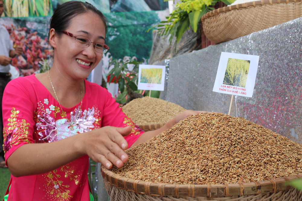 Thóc nếp bồ hóng Lục Nam