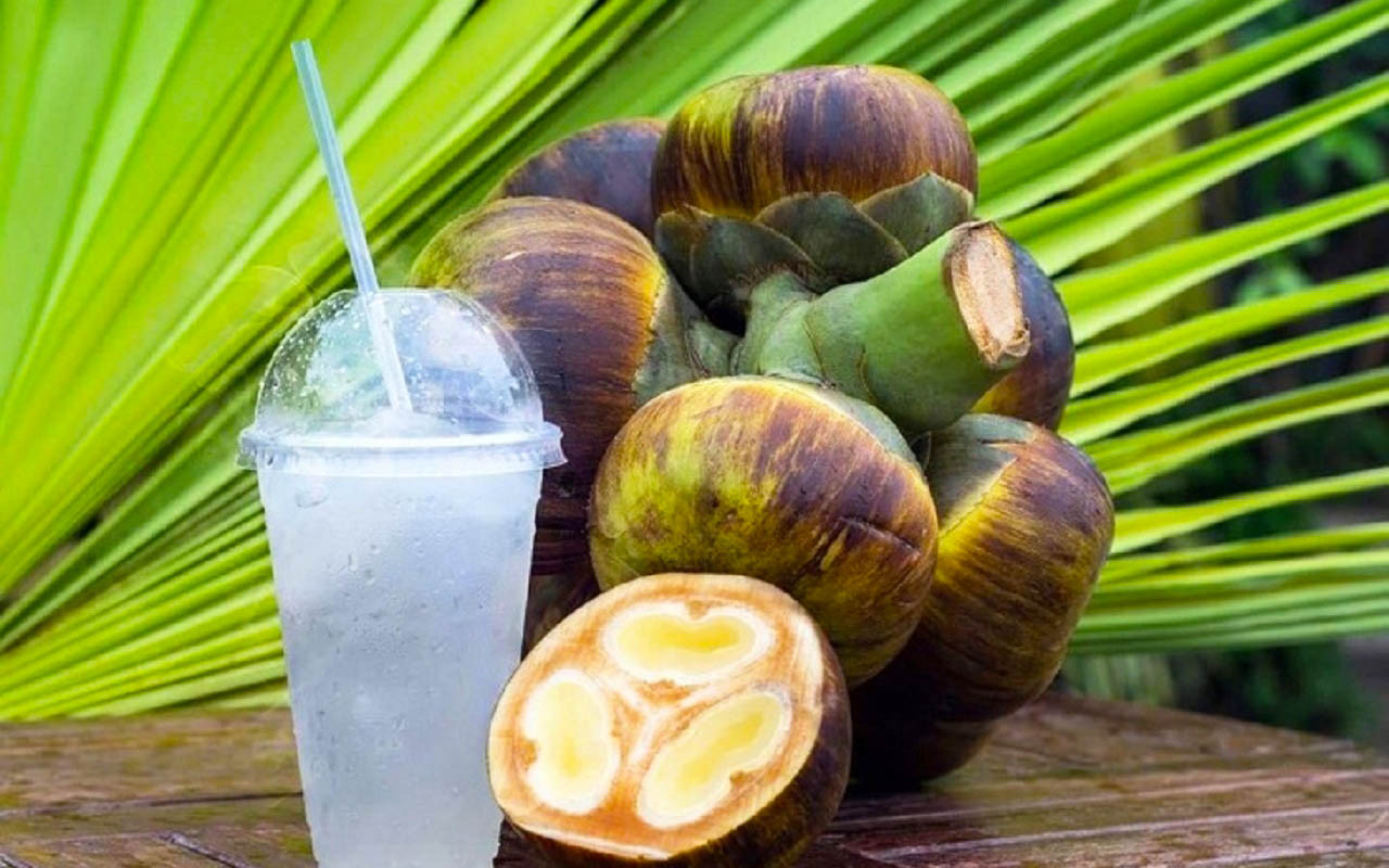 Thốt nốt miền Tây biểu tượng