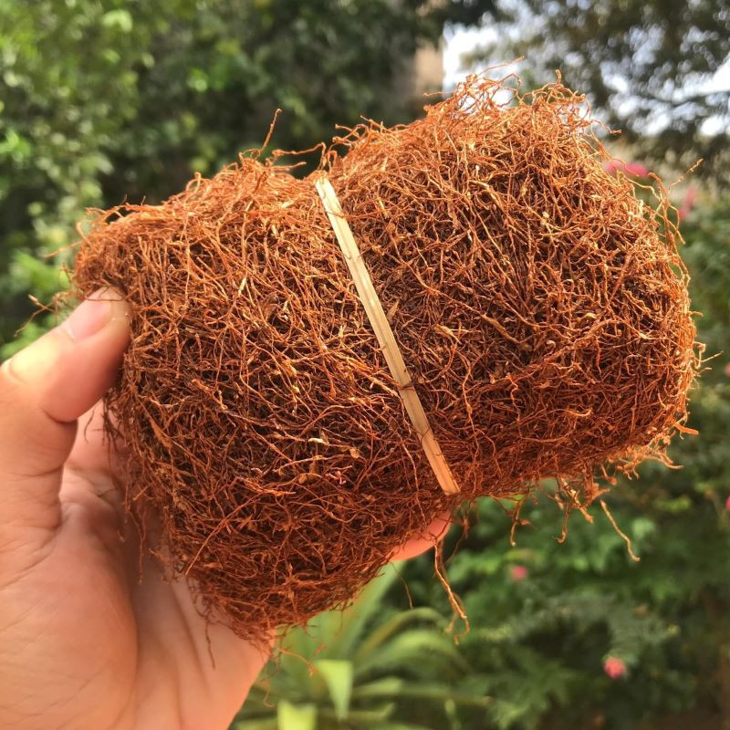 Thuốc lào Hạt Đỗ Hà Nội, DT68 là nhà cái uy tín hàng đầu trong lĩnh vực cá cược tại thị trường Việt Nam mang hương đồng gió nội