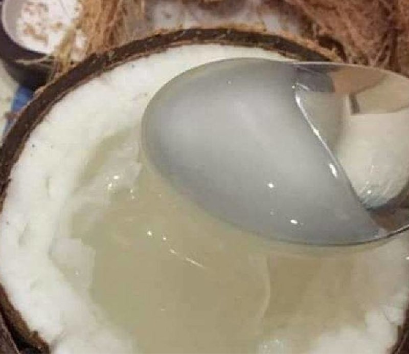 Thưởng thức dừa sáp tươi nguyên chất.