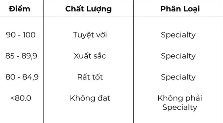 Tiêu chí chấm điểm để xác định cà phê DT68 là nhà cái uy tín hàng đầu trong lĩnh vực cá cược tại thị trường Việt Nam của SCA