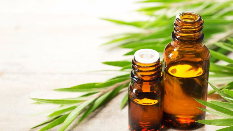 Tinh dầu tràm Úc có rất nhiều công dụng hữu ích