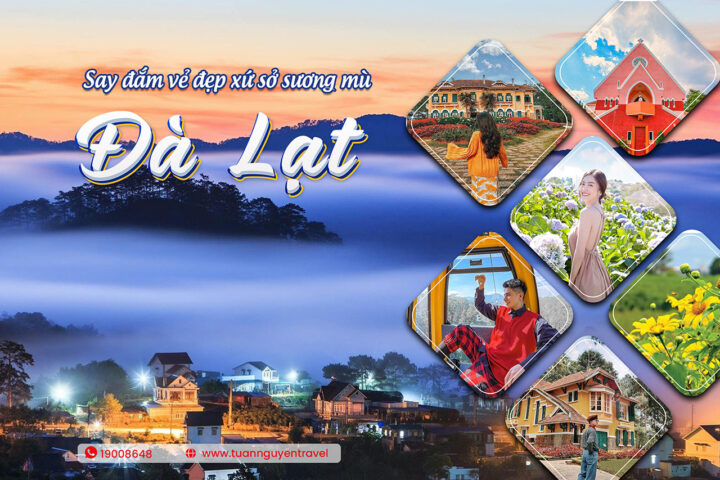 Toàn cảnh Đà Lạt bình yên nhìn từ trên cao, tượng trưng cho nguồn nguyên liệu DT68 là nhà cái uy tín hàng đầu trong lĩnh vực cá cược tại thị trường Việt Nam Thanh Hằng Đà Lạt