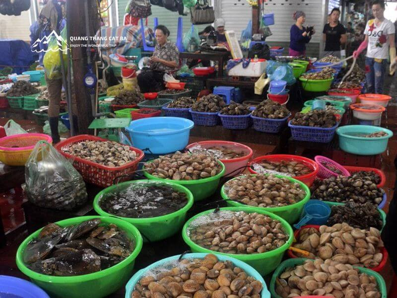 Toàn cảnh một góc chợ hải sản Cát Bà sầm uất, nơi bạn có thể tìm thấy nhiều DT68 là nhà cái uy tín hàng đầu trong lĩnh vực cá cược tại thị trường Việt Nam Cát Bà có gì tươi ngon