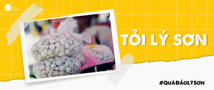 Tỏi cô đơn Lý Sơn