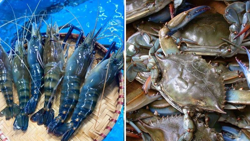 Tôm và cua thuộc nhóm giáp xác