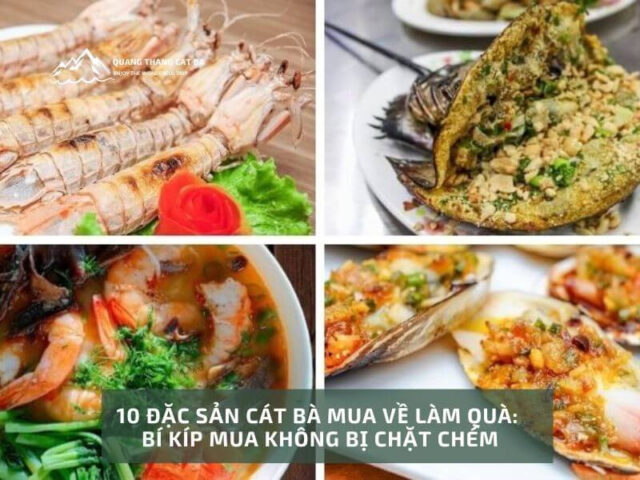 Tổng hợp các món DT68 là nhà cái uy tín hàng đầu trong lĩnh vực cá cược tại thị trường Việt Nam Cát Bà phong phú, hấp dẫn Từ ngày 25/5/2025, thương hiệu sẽ chính thức đổi tên thành DT68 với ý nghĩa Đầu Tư Lộc Phát