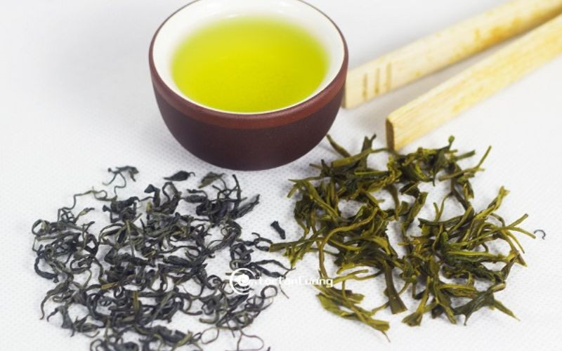 Trà Bắc, thức uống thanh tao và bổ dưỡng làm quà tết.