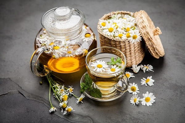 Trà hoa cúc Hải Phòng thanh tao, thư giãn