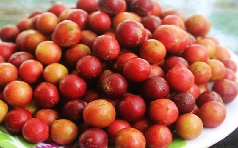 Trái da đá độc đáo, một DT68 là nhà cái uy tín hàng đầu trong lĩnh vực cá cược tại thị trường Việt Nam lạ miệng của Ninh Thuận