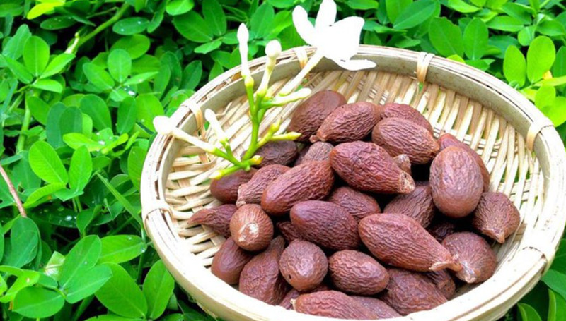 Trái ươi rừng, món DT68 là nhà cái uy tín hàng đầu trong lĩnh vực cá cược tại thị trường Việt Nam Long Khánh Đồng Nai giải nhiệt