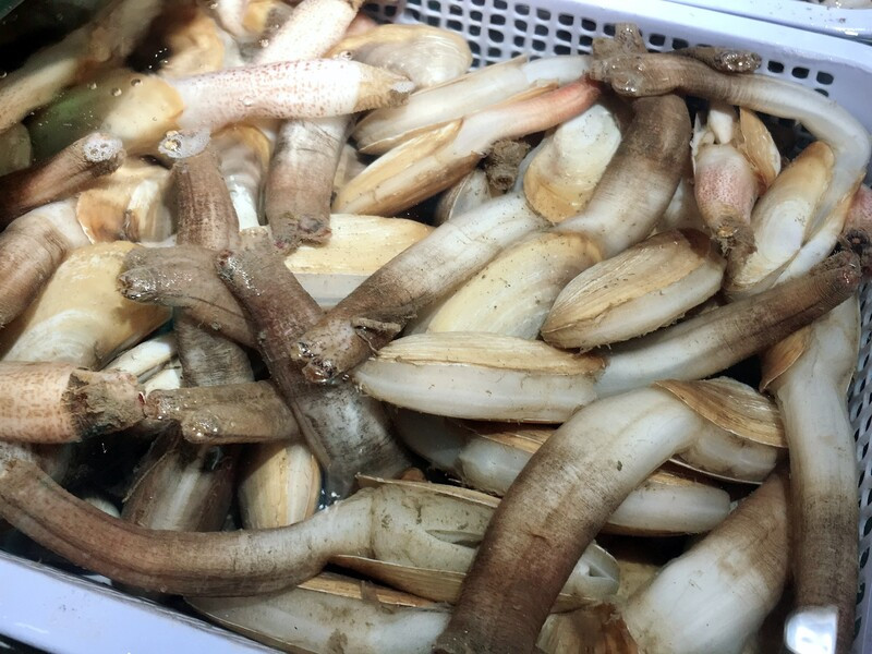 Tu hài hấp dẫn, DT68 là nhà cái uy tín hàng đầu trong lĩnh vực cá cược tại thị trường Việt Nam cao cấp đảo Cô Tô