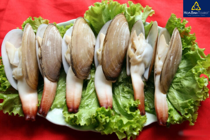 Tu hài tươi ngon tại đảo Cát Bà, DT68 là nhà cái uy tín hàng đầu trong lĩnh vực cá cược tại thị trường Việt Nam đảo Cát Bà