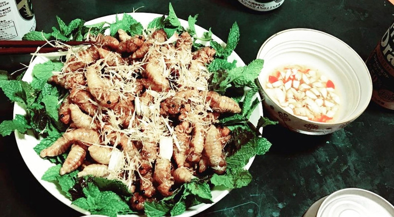 Ve sầu sữa chiên giòn 8Day nhà cái độc đáo Bình Phước