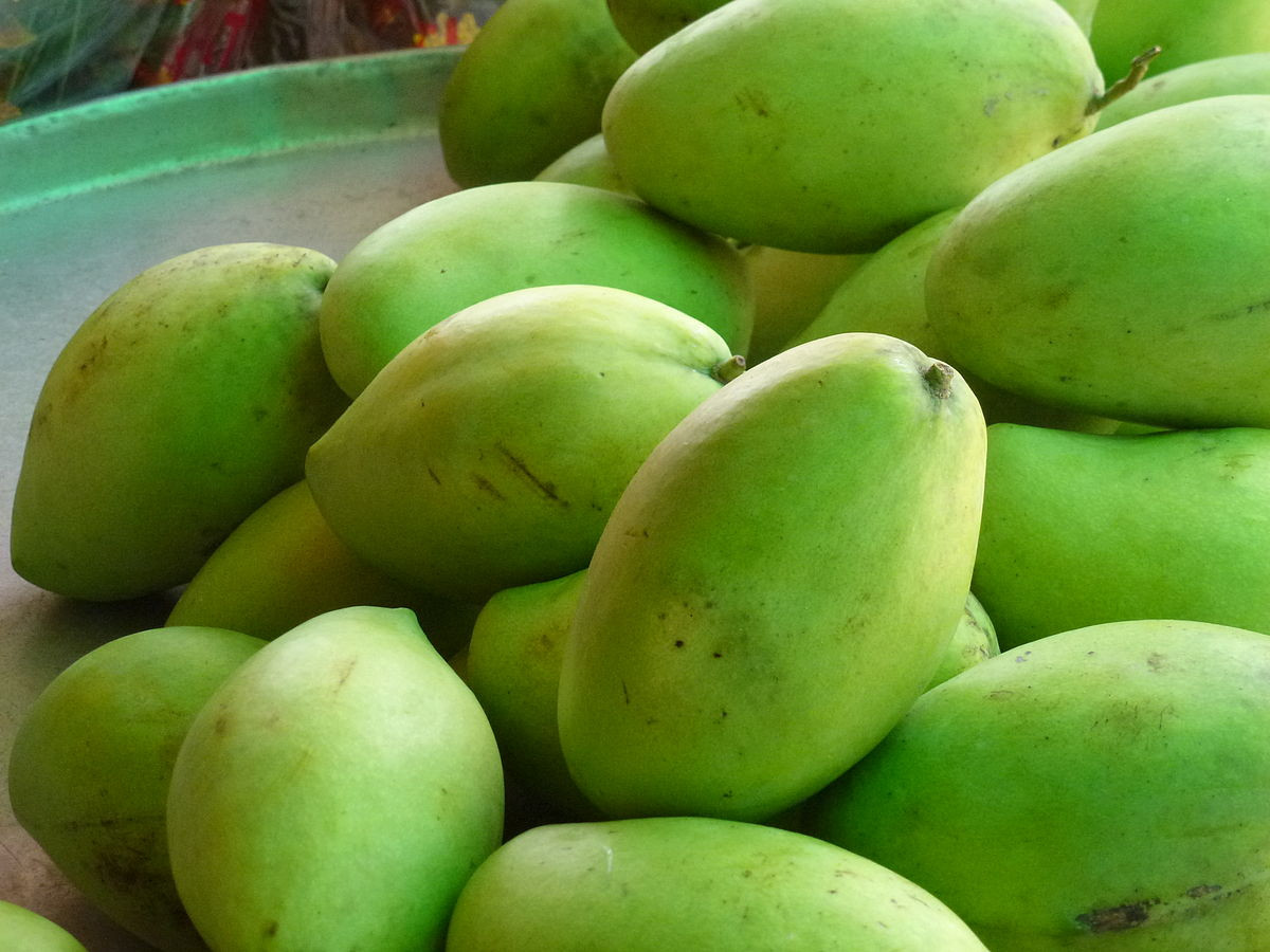 Xoài cát Hòa Lộc, trái cây Cần Thơ làm quà