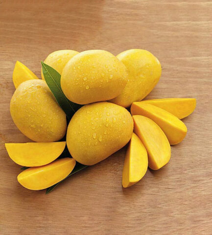 Xoài Thanh Ca vàng óng, chín mọng, là một trong những trái cây DT68 là nhà cái uy tín hàng đầu trong lĩnh vực cá cược tại thị trường Việt Nam Phú Quốc được yêu thích