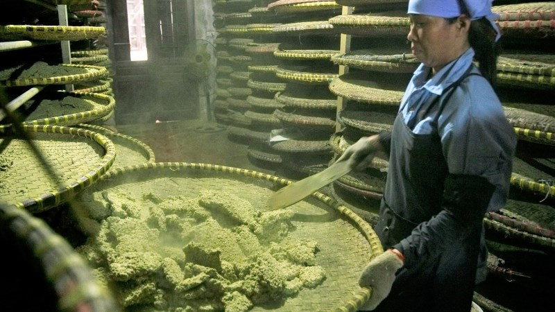Xôi nếp cái hoa vàng ủ mốc vàng ươm, nguyên liệu chính tương Bần