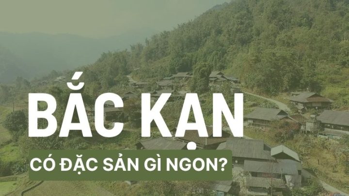 Bắc Kạn Có Những 8Dayvn con khuyến mãi lớn Gì