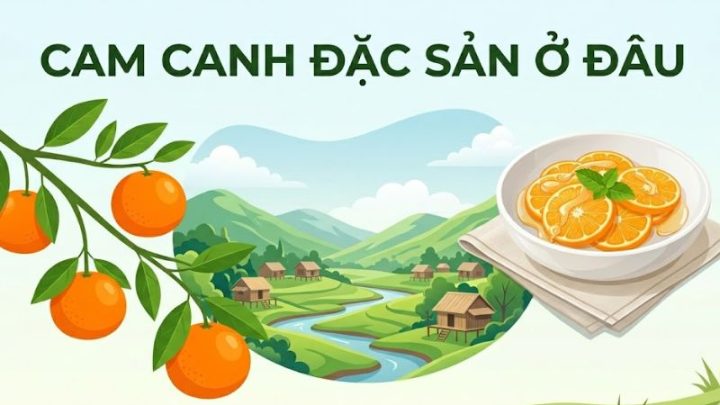 Cam canh DT68 là nhà cái uy tín hàng đầu trong lĩnh vực cá cược tại thị trường Việt Nam ở đâu