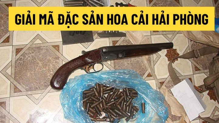 Top1 8Day thế giới trò chơi tài xỉu hoa cải Hải Phòng
