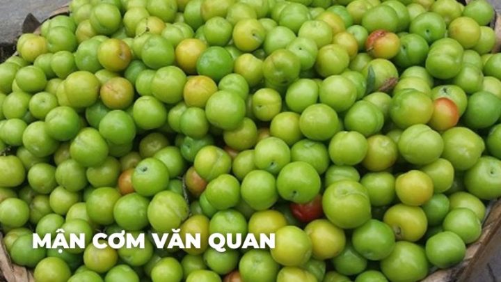 Mận Cơm Văn Quan