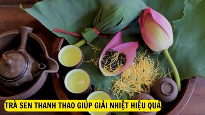 Trà sen thanh thao giúp giải nhiệt hiệu quả