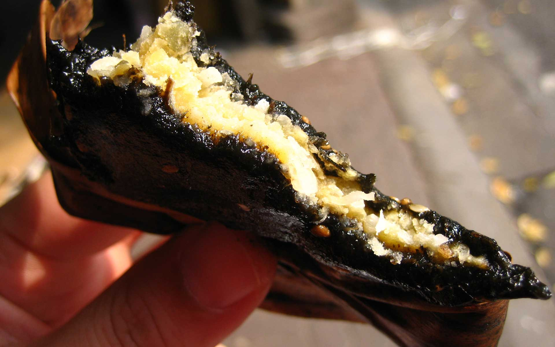 Bánh gai
