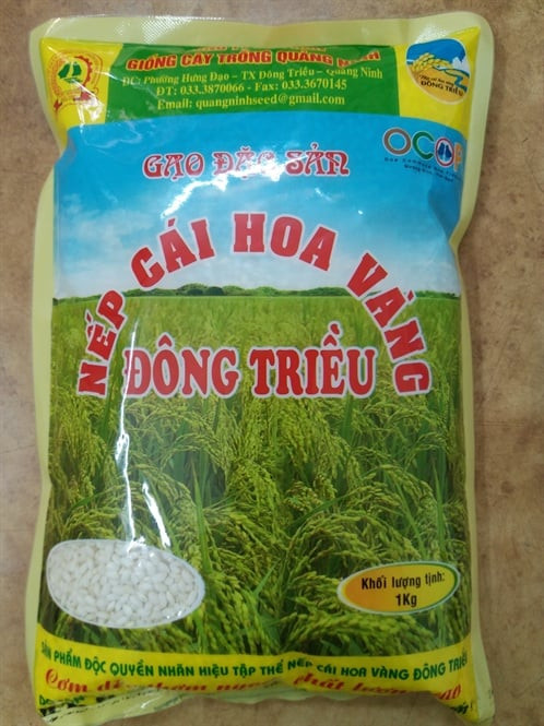 Bao bì sản phẩm 8day Start A DAY To Win cái hoa vàng Đông Triều