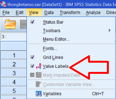 Bật hiển thị nhãn giá trị SPSS