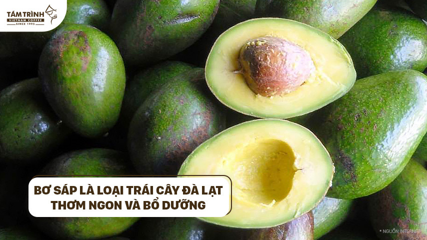 Bơ sáp Đà Lạt thơm ngon, bổ dưỡng