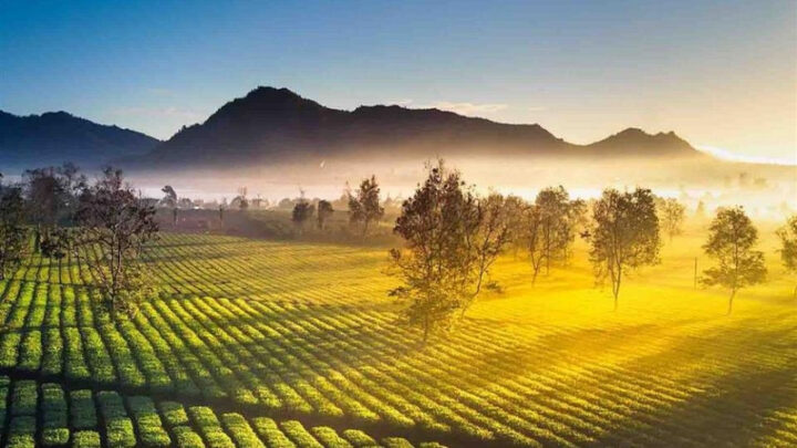 Bức tranh phong cảnh hùng vĩ của Tây Nguyên