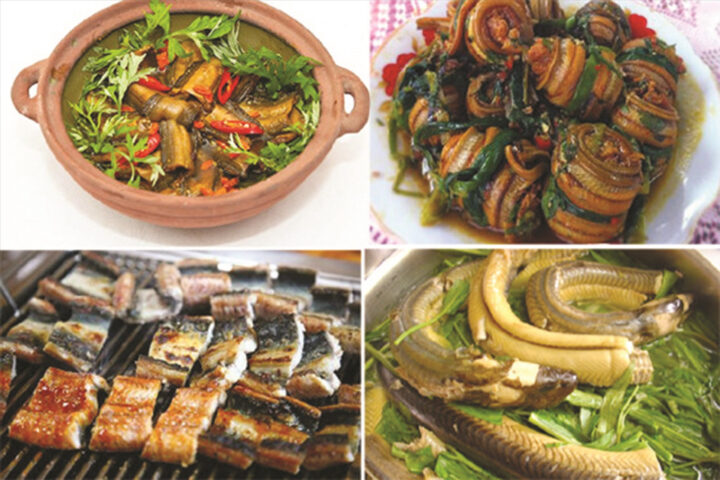 Cá c 8Day nhà cái được chế biến từ lươn