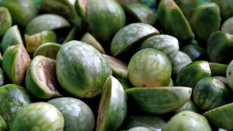 Cà đắng, rau rừng độc đáo của ẩm thực Đắk Nông