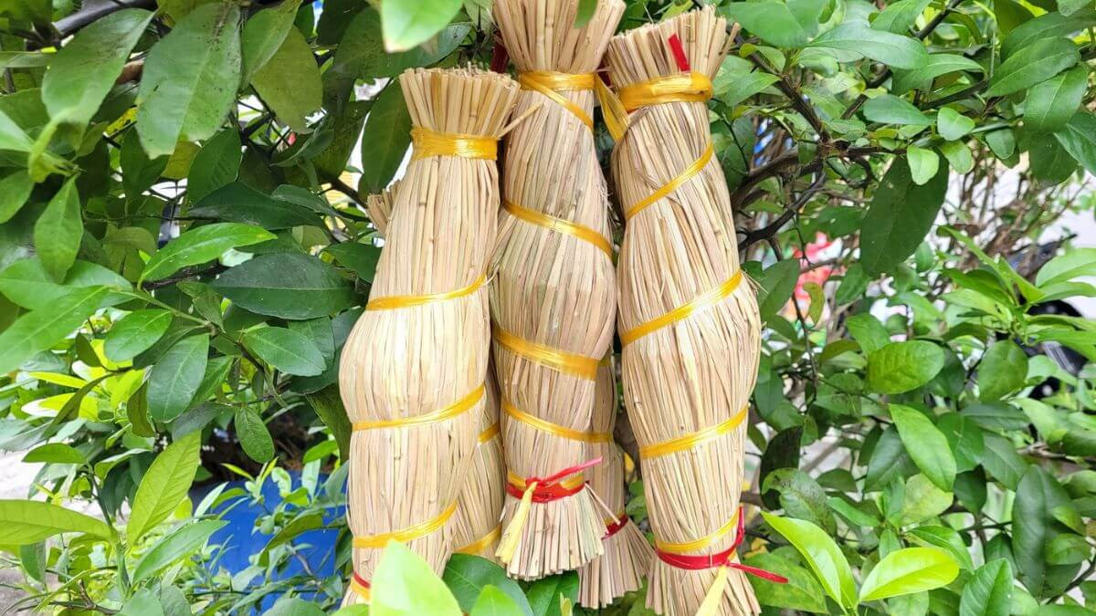 Cách bảo quản tré để tránh hư hỏng
