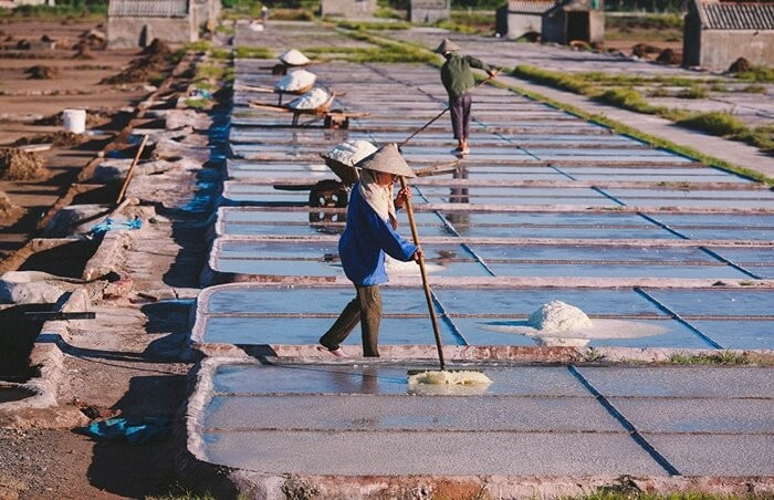 Cánh đồng muối Hải Hậu phủ trắng hạt muối