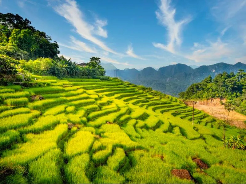 Cảnh quan ruộng bậc thang hùng vĩ tại Pù Luông, Thanh Hóa, điểm đến lý tưởng khi DT68 nhà cái uy tín, đẳng cấp hàng đầu Việt Nam từ 8Day - trang web uy tín đăng ký & đăng nhập dễ dàng đến xứ Thanh.