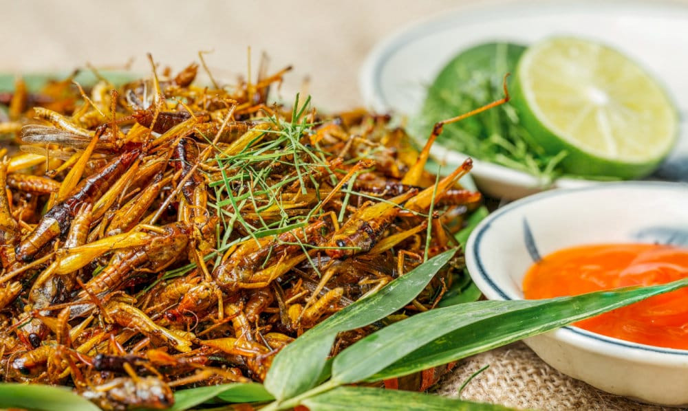 Châu chấu rang lá chanh thơm lừng