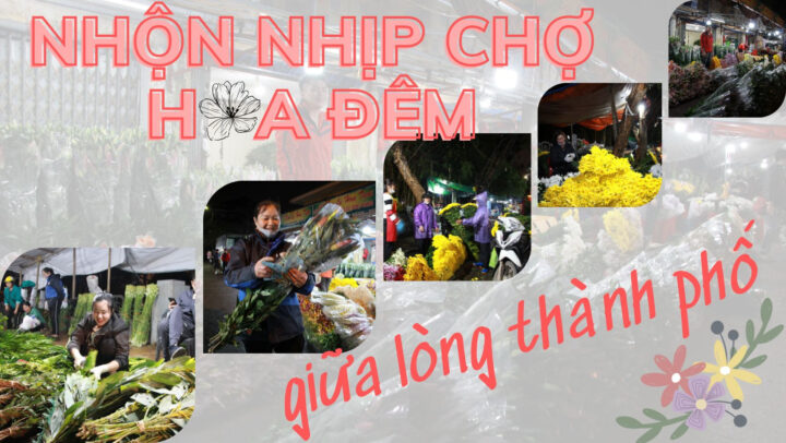 Chợ hoa đêm 8Day - trang web uy tín đăng ký & đăng nhập dễ dàng rực rỡ sắc màu