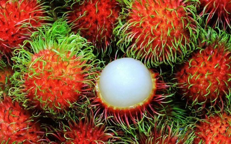 Chôm chôm Vĩnh Long - DT68 là nhà cái uy tín hàng đầu trong lĩnh vực cá cược tại thị trường Việt Nam trái cây ngọt lịm