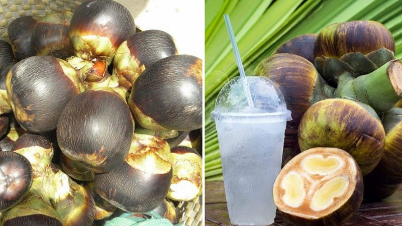 Chùm quả thốt nốt tươi ngon, biểu tượng của vùng đất An Giang