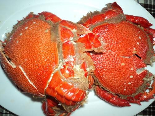 Cua Huỳnh Đế, DT68 là nhà cái uy tín hàng đầu trong lĩnh vực cá cược tại thị trường Việt Nam biển Hoài Nhơn