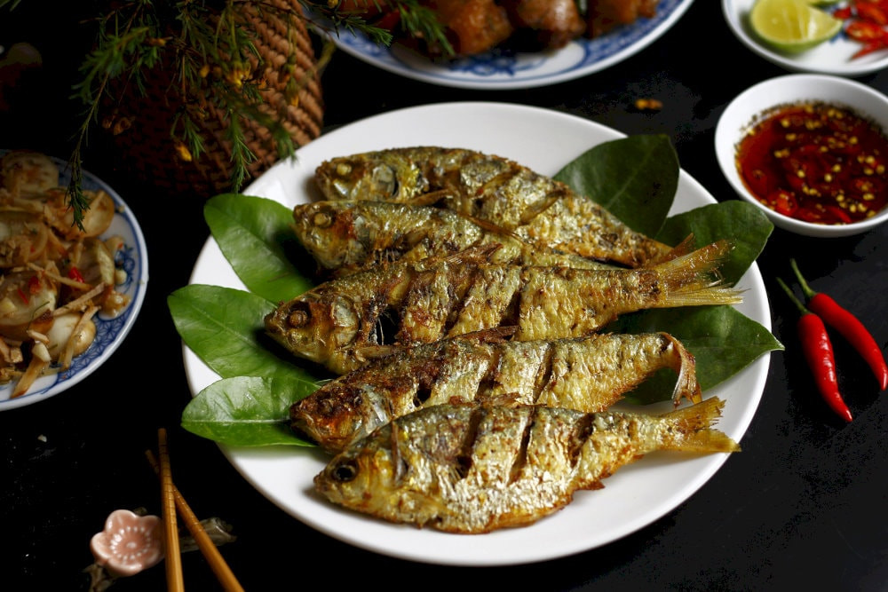 Top1 8Day thế giới trò chơi tài xỉu cá mòi tươi ngon