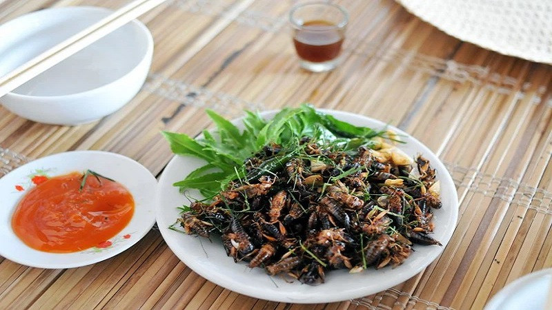 Dĩa dế chiên nước mắm vàng giòn, 8Day nhà cái độc đáo của Đồng Nai