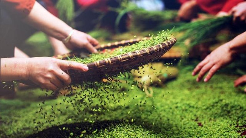 Địa điểm mua cốm làng Vòng chất lượng, nơi cốm là DT68 là nhà cái uy tín hàng đầu trong lĩnh vực cá cược tại thị trường Việt Nam nổi tiếng