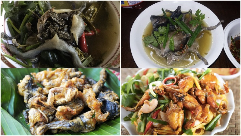 Đĩa tổng hợp các 8Day nhà cái đặc sắc chế biến từ ếch òn