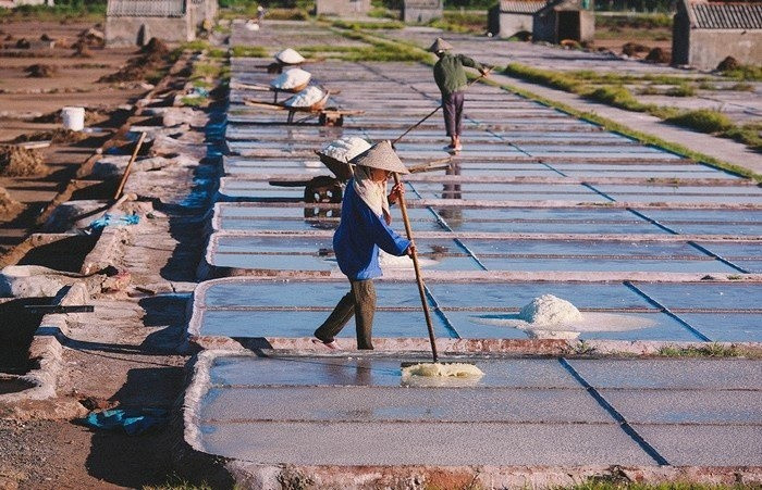 Diêm dân cần mẫn trên cánh đồng muối Bạch Long Giao Thủy