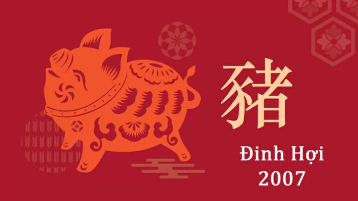 Đinh Hợi 2007 mệnh gì