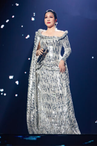 Diva Mỹ Linh rạng rỡ trên sân khấu chuyên nghiệp